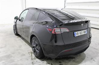Tesla Model Y  picture 4