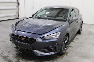 Auto incidentate Cupra Leon  2023/12