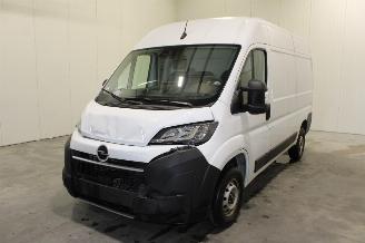 Damaged car Opel Movano  2025/10