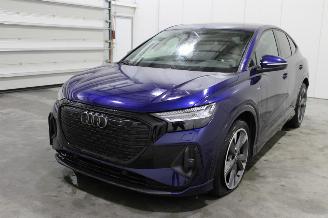 škoda osobní automobily Audi Q4 e-tron 2023/12