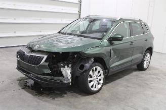 škoda osobní automobily Skoda Karoq  2019/6