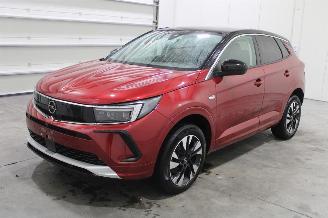 uszkodzony samochody osobowe Opel Grandland X 2023/9