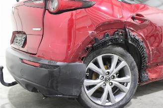 Mazda CX-30  picture 24