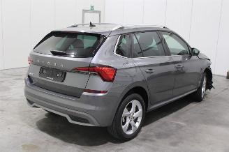 Skoda Kamiq  picture 3