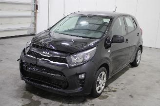 krockskadad bil auto Kia Picanto  2024/4