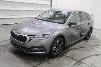 skadebil auto Skoda Octavia  2024/1