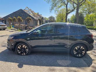 Opel Grandland X 1.2 Turbo Automaat Navi Stoelverw Leder picture 6