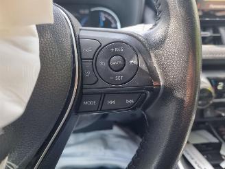 Toyota Rav-4 2.5 Hybrid Aut. Leder Stoelverw. picture 20