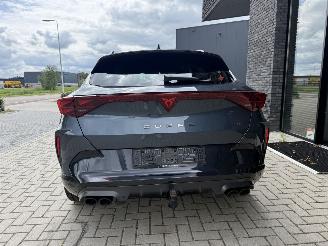 Cupra Formentor VZ NEW MOD! 2.0 TSI 4Drive 333PK DSG7 picture 13
