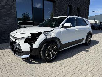 Kia Niro 1.6 GDI PHEV 142PK DCT Aut. DynamicLine picture 14