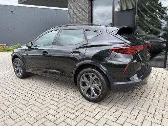 Cupra Formentor NEW! 1.5 eTSI 150PK DSG7 picture 15
