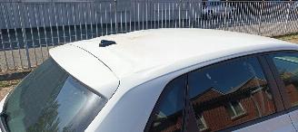Volkswagen Polo  picture 14