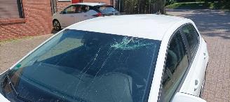 Volkswagen Polo  picture 11