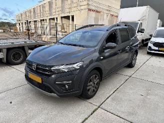 Unfallwagen Dacia Jogger 1.0 TCE 7 PERS 81 KW-NAVI-PDC-CLIMA 2022/6