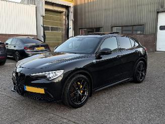 uszkodzony samochody osobowe Alfa Romeo Stelvio 2.0 T 280Pk AWD Super Pano Harman Kardon 2017/6