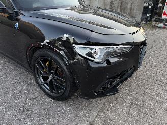 Alfa Romeo Stelvio 2.0 T 280Pk AWD Super Pano Harman Kardon picture 19