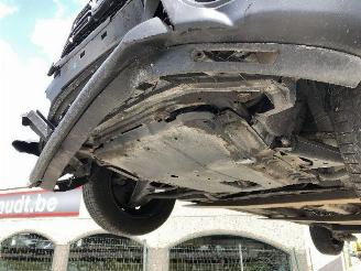 Dacia Dokker WORK EDITION picture 21