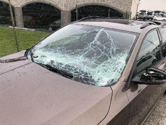 Skoda Octavia 1.0 TSI AMBITION picture 12