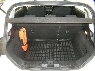 Ford Fiesta 1.1 5 DEURS picture 14