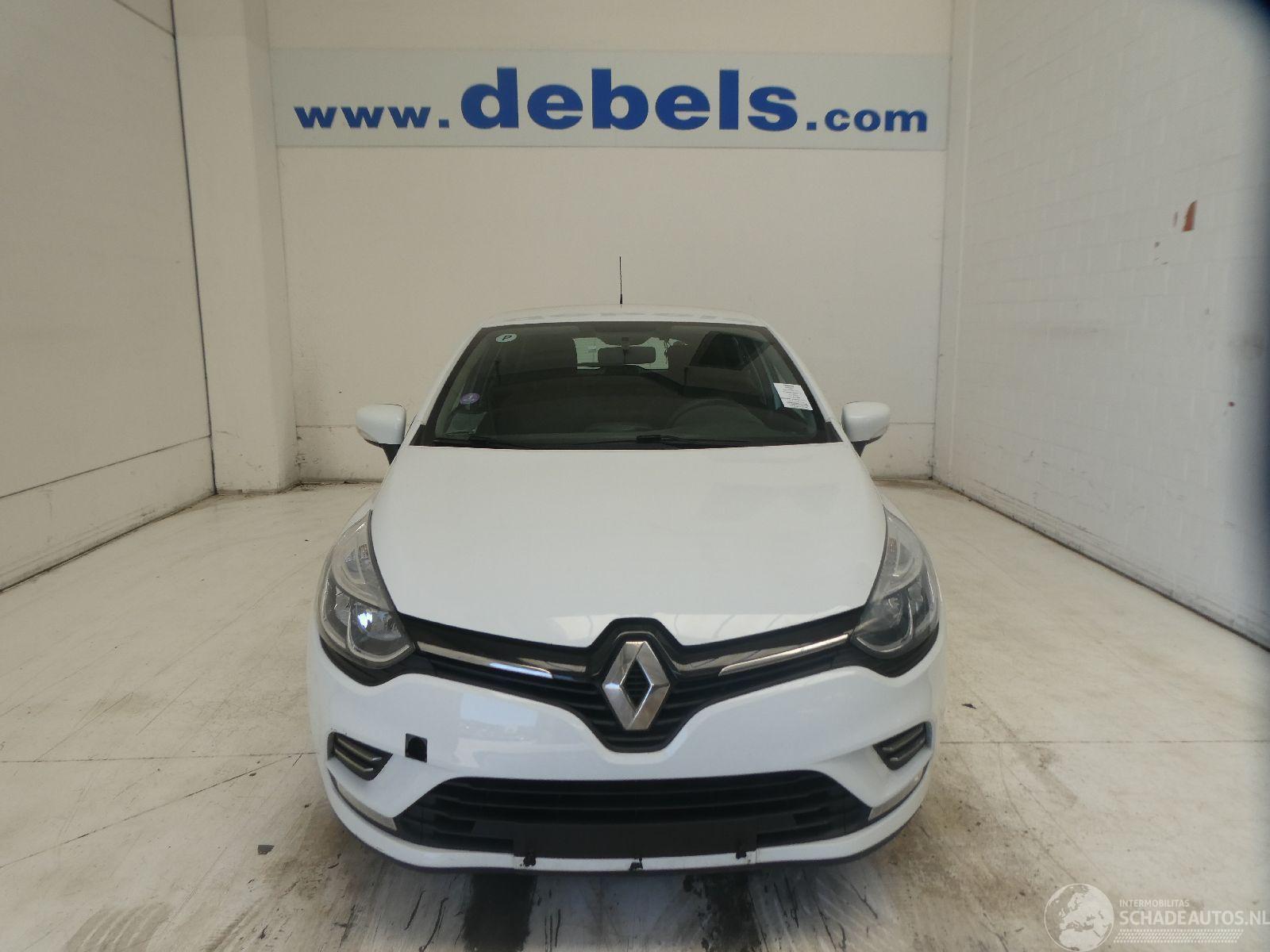 Renault Clio MOTORSCHADE