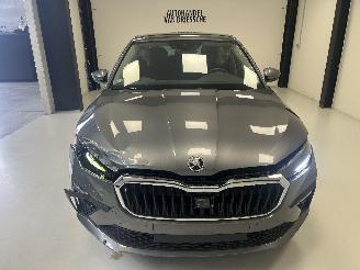 Skoda Scala DSG picture 9