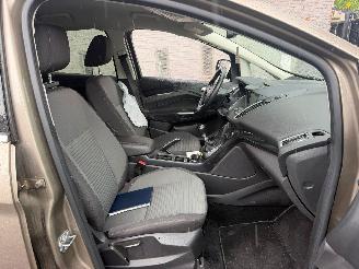 Ford C-Max TITANIUM picture 21