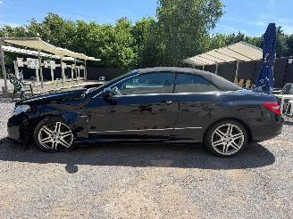 Mercedes E-klasse E 250 CDI BLUE EFFIC picture 11
