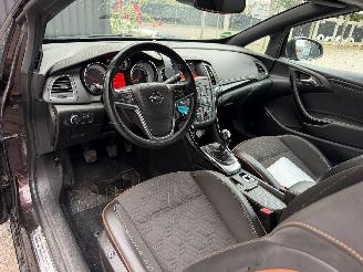 Opel Cascada COSMO picture 24