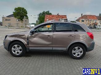 Opel Antara  picture 7