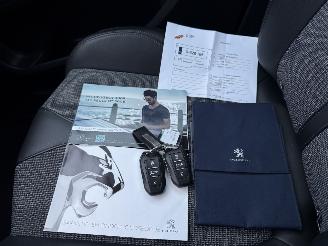 Peugeot 3008 1.2 PureTech  Blue Lease Premium picture 21