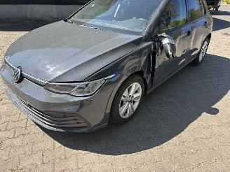 Volkswagen Golf 8 TSI NAVI CLIMA CAMERA VIRT DASH PDC PRIVACY GLASS B.J 2023 picture 8