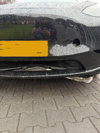 Tesla Model Y RWD 58 kwh picture 13