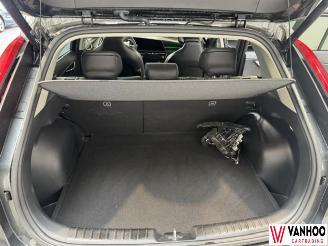 Kia Niro  picture 12