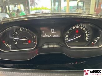 Peugeot 2008  picture 17