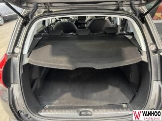 Peugeot 2008  picture 12