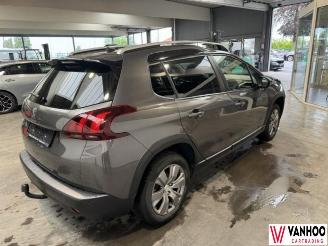 Peugeot 2008  picture 6
