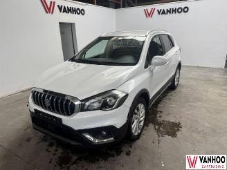 Suzuki SX4 S-CROSS picture 1