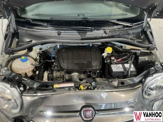 Fiat 500  picture 7