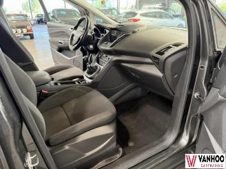 Ford C-Max  picture 12