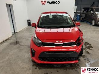 Kia Picanto  picture 3