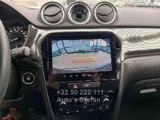 Suzuki Vitara  picture 16