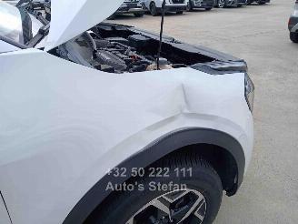 Kia Sportage  picture 31