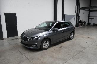 skadebil auto Skoda Fabia ACTIVE 2023/5