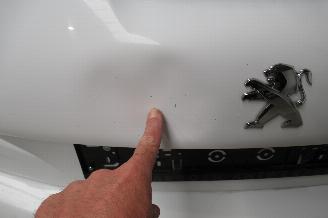 Peugeot 208 SEDAN picture 9