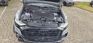 Audi Q8  picture 19