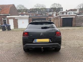 Citroën C4 cactus 1.2 PureTech One-Tone AUTOMAAT picture 6