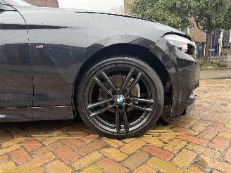 BMW 2-serie 218i M PAKKET CABRIO picture 5