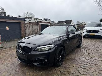 Unfallwagen BMW 2-serie 218i M PAKKET CABRIO 2018/1