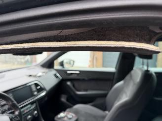 Cupra Ateca 2.0 TSI 4DRIVE 300 PK picture 16