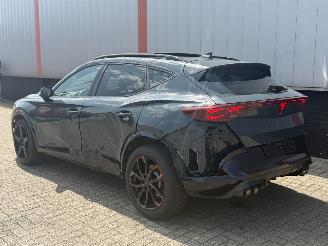 Cupra Formentor 2.0 VZ 245 KW AKRA  PANO SFEER picture 28